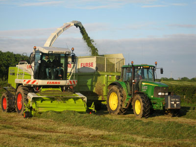New Claas Jaguar 900 Forager in action